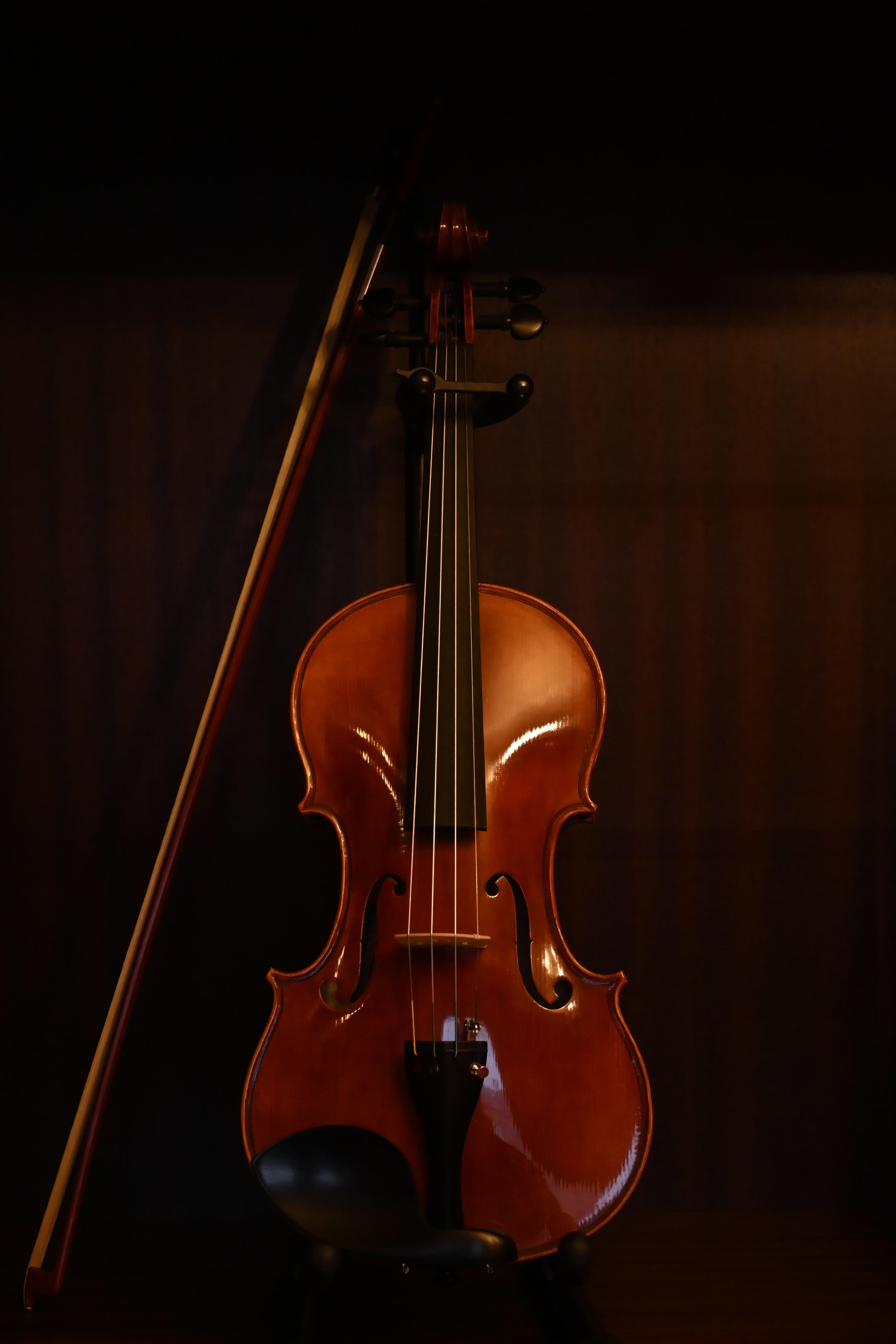 Violons