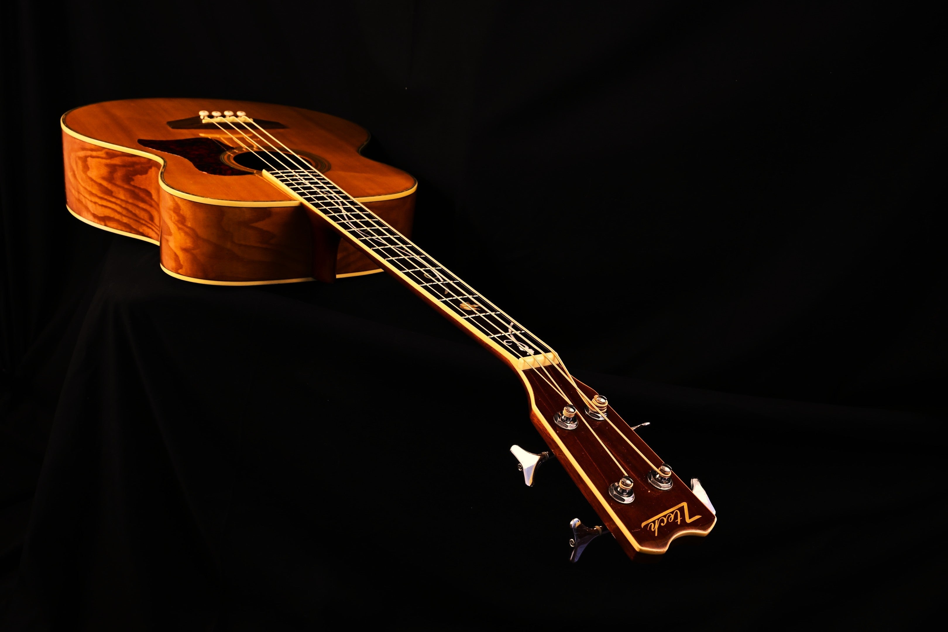 Basses acoustiques et semi-acoustiques