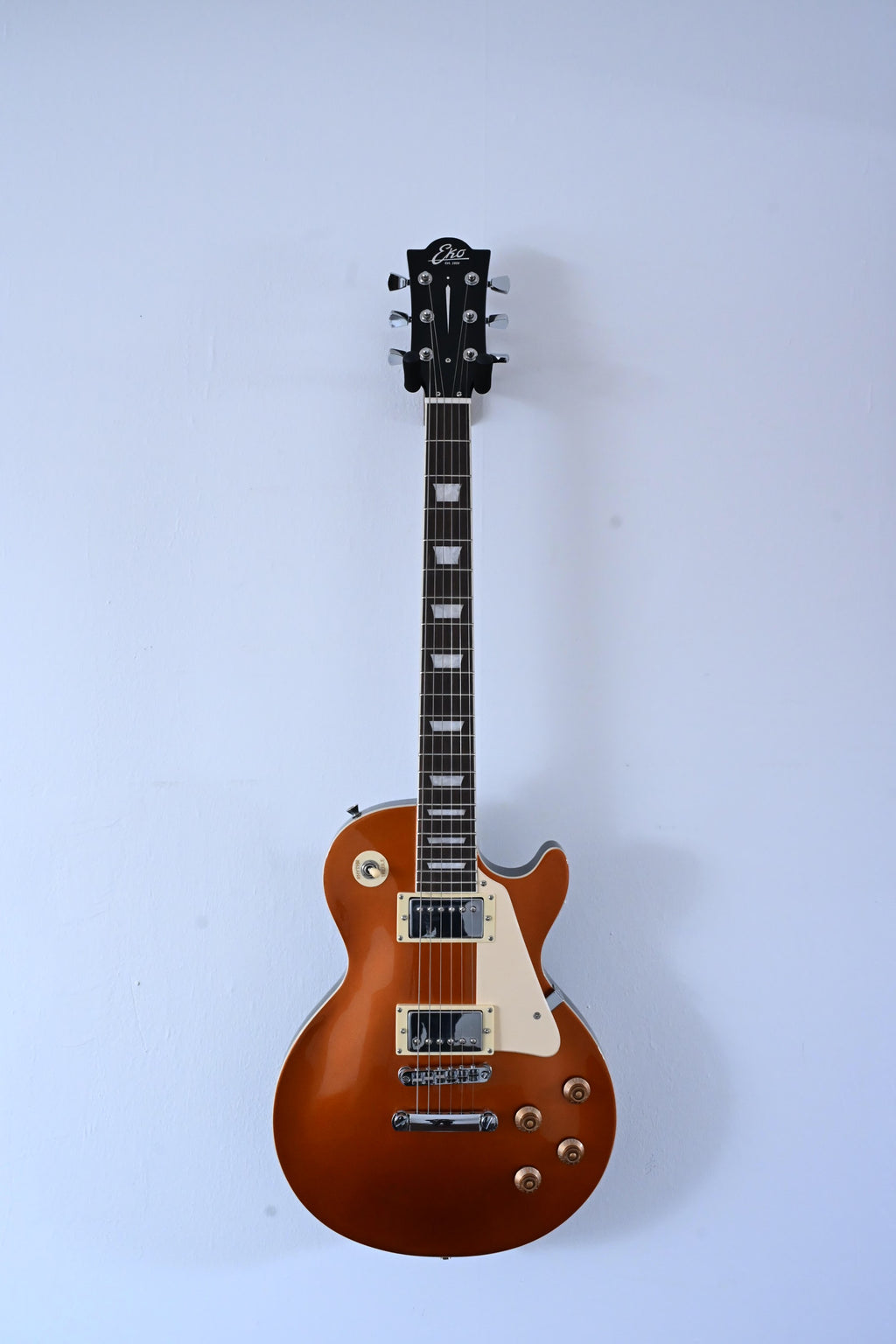 Guitare EKO LS300