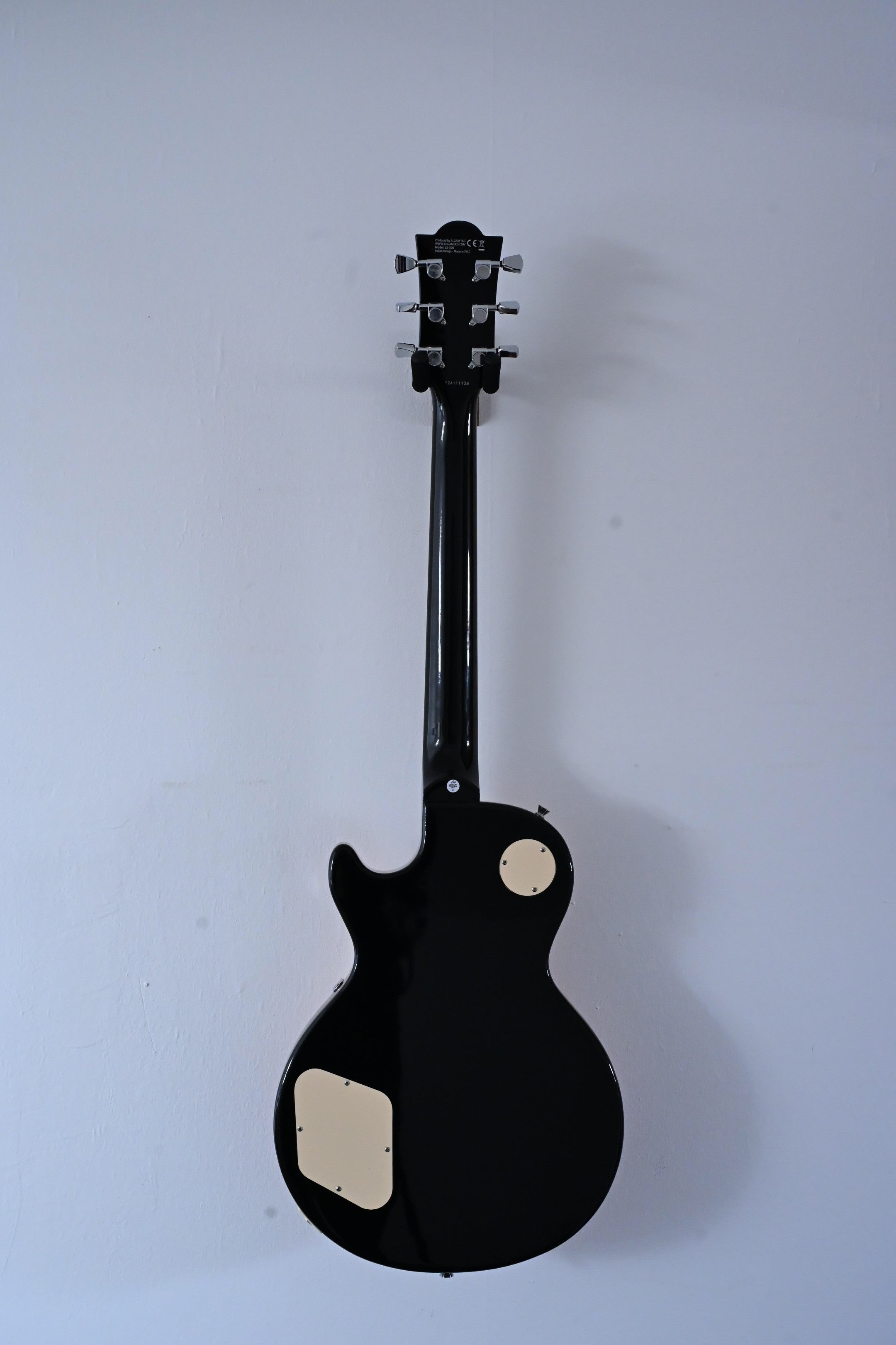 Guitare EKO LS300