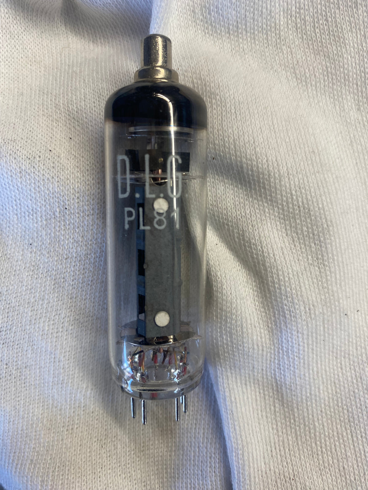 PL81 DLG Electronics