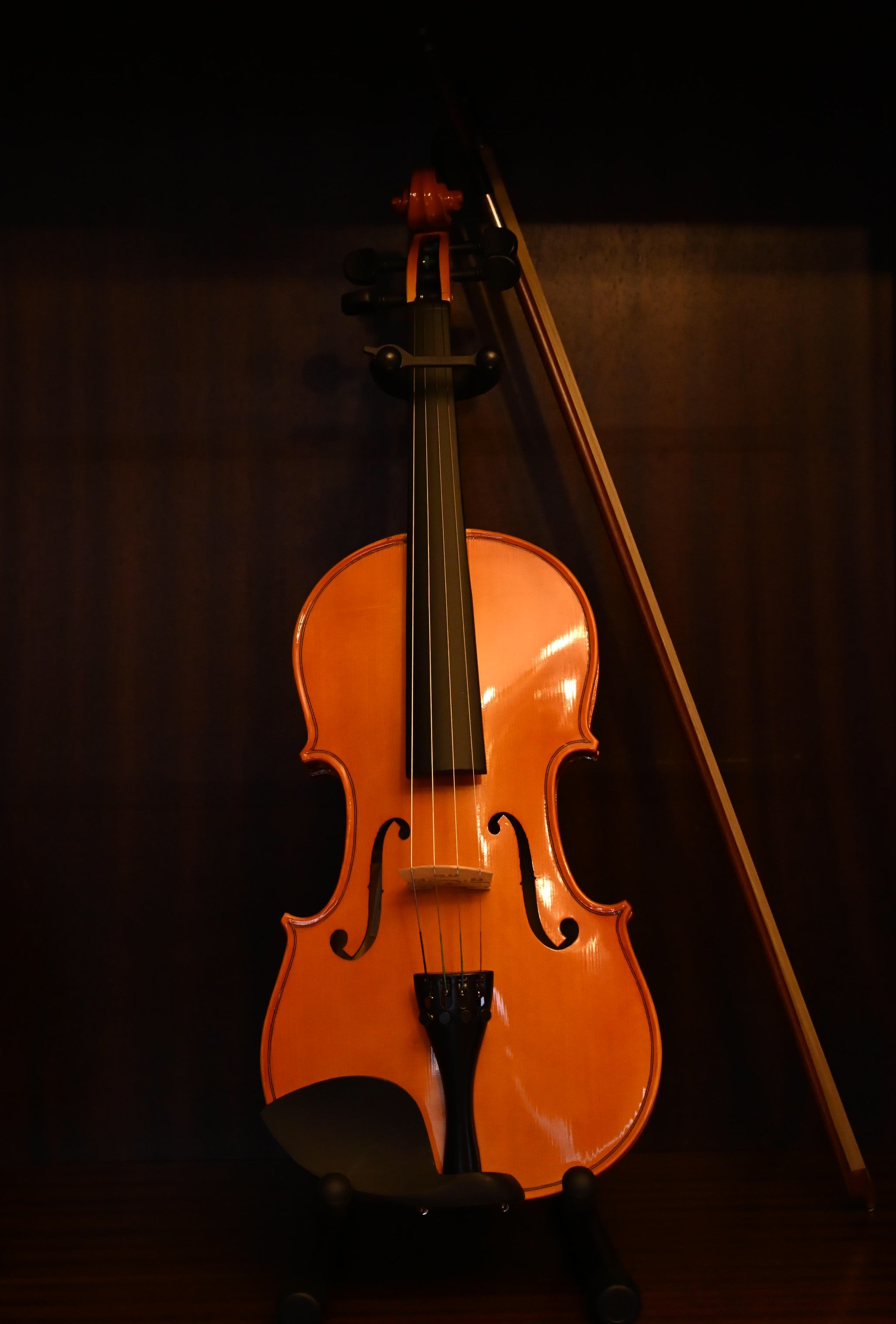 Violon 4/4 Herald